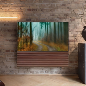canvas product 1 (1)