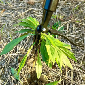 Estrattore di Erbacce Verticale